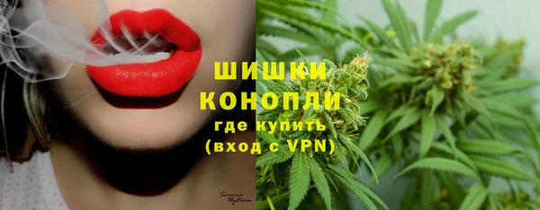 ГАЛЛЮЦИНОГЕННЫЕ ГРИБЫ Чердынь