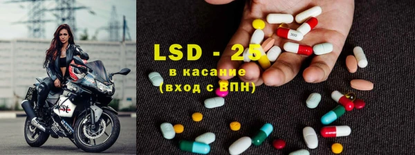 ГАЛЛЮЦИНОГЕННЫЕ ГРИБЫ Чердынь