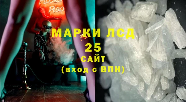 ГАЛЛЮЦИНОГЕННЫЕ ГРИБЫ Чердынь