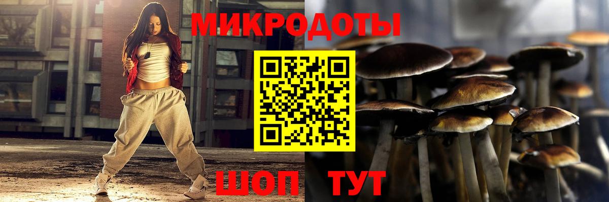 купить   Вход с VPN  Симферополь  Псилоцибиновые грибы прущие грибы 